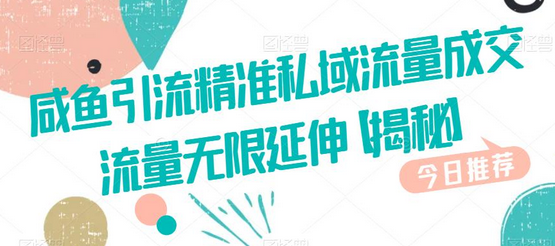 咸鱼引流精准私域流量成交流量无限延伸-无双副业
