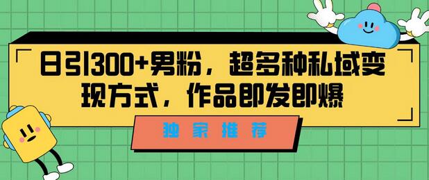 独家推荐：日引300+男粉的私域变现新玩法-无双副业