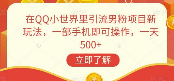 QQ小世界引流男粉项目新玩法，一部手机轻松日赚500+-无双副业