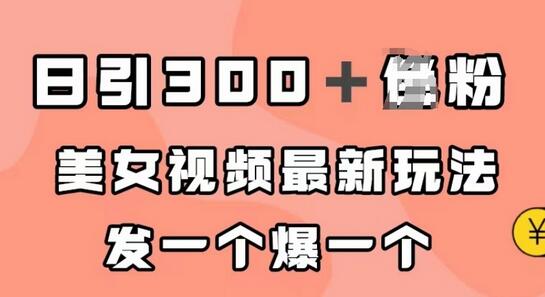 美女视频最新玩法，日引300+男粉，发一个爆一个-无双副业