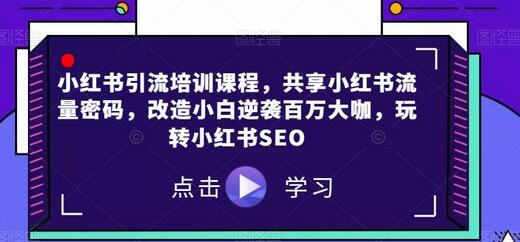 小红书引流培训课程，掌握流量密码，从小白到百万大咖-无双副业