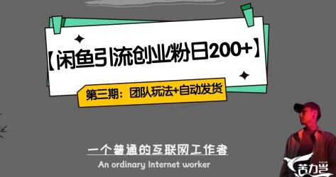 暴力引流与闲鱼创业粉引流，全自动发货团队闭环模式-无双副业