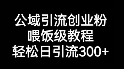 公域引流创业粉教程，轻松日引流300+-无双副业