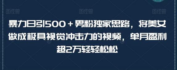 暴力引流500+男粉独家思路，美女视频轻松盈利2万+-无双副业