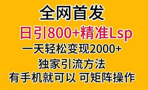 日引800+精准流量，一天变现2000+的独家引流方法-无双副业