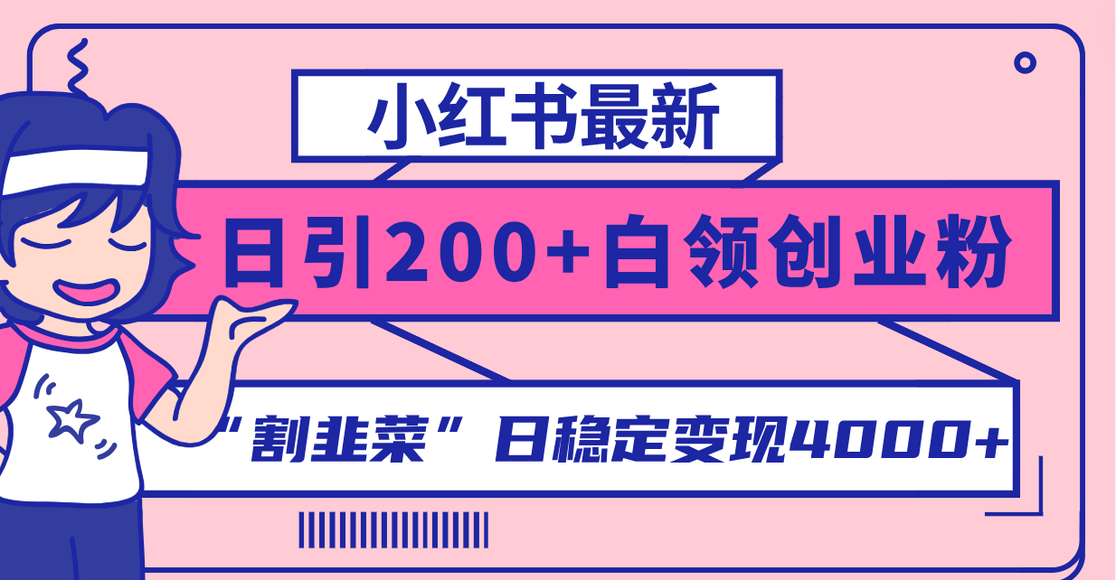 小红书引流创业粉日稳定变现4000+实操教程-无双副业