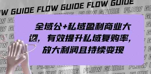 全域与私域盈利商业课程，提升复购率与持续变现-无双副业