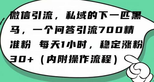 利用微信问一问功能精准引流创业粉，日引100+粉丝-无双副业