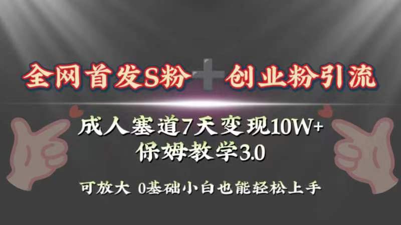 成人用品赛道7天变现10w+保姆教学3.0-无双副业
