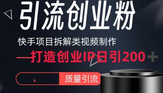 快手项目拆解视频制作流程与个人IP打造技巧-无双副业