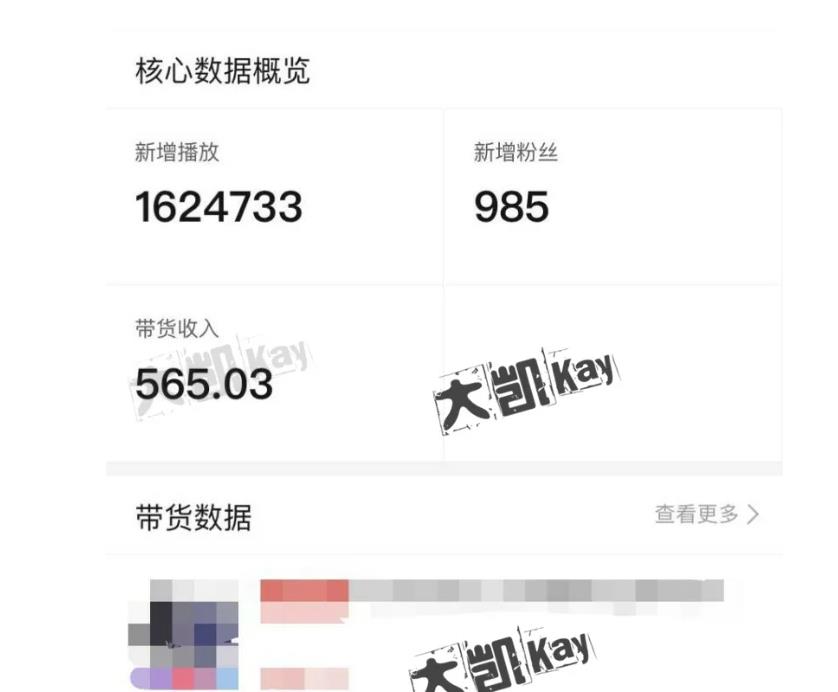 拼多多视频玩法揭秘：单号日利润500~1500元-无双副业