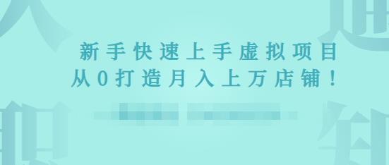 2022年虚拟项目实战指南：新手从0打造月入上万店铺-无双副业