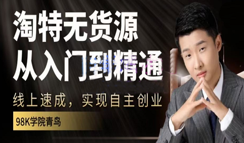 淘特无货源线上速成课，从入门到精通，实现自主创业-无双副业