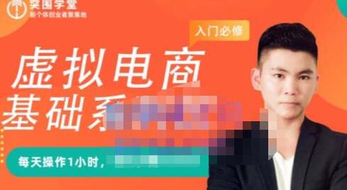 虚拟电商基础系列课：每天1小时，月入10000元-无双副业