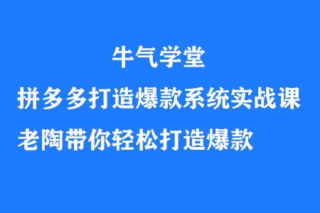 拼多多爆款打造实战课，老陶教你轻松运营-无双副业