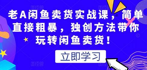 老A闲鱼卖货实战课，独创方法带你玩转闲鱼卖货-无双副业