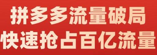拼多多流量破局：黑标申请、爆款运营与流量框架解析-无双副业