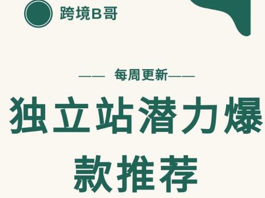 独立站潜力爆款选品推荐，测款出单率高达80%-无双副业