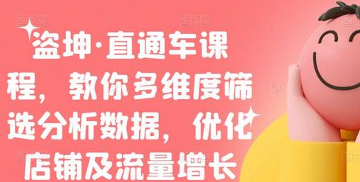 盗坤直通车课程：多维度数据分析与店铺优化-无双副业