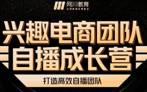 兴趣电商团队自播成长营：直播流量获取与承接核心技巧-无双副业