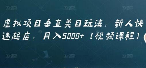 虚拟项目垂直类目玩法：新人快速起店月入5000+-无双副业