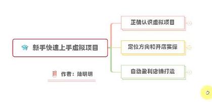 新手快速上手虚拟项目，打造月入上万店铺技术-无双副业