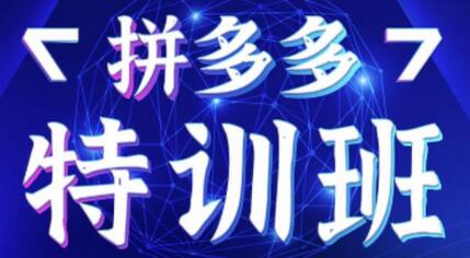 星雪教育拼多多特训班：基础到突破，系统学习改变现状-无双副业
