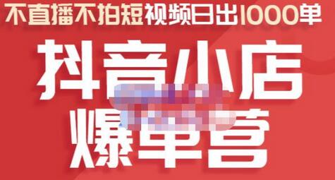 2022年抖音小店爆单营：不直播不拍短视频也能日出1000单-无双副业