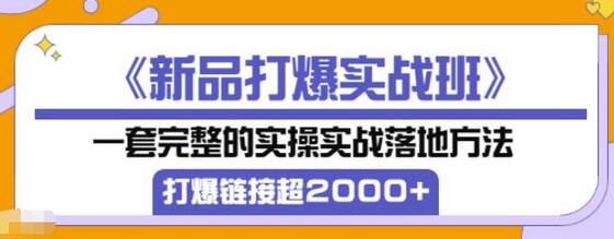 凌童《新品打爆实战班》：完整实操方法，打爆2000+链接-无双副业
