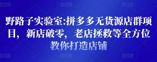 拼多多无货源店群项目：新店破零与老店拯救全攻略-无双副业