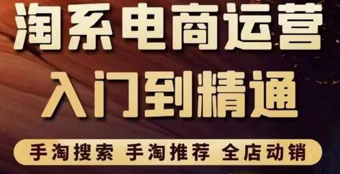 淘系电商从入门到精通：手淘搜索、推荐与全店动销实战指南-无双副业