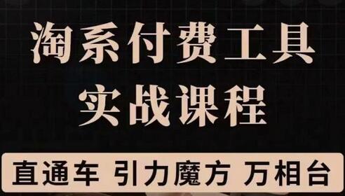 淘系付费工具实战课程：直通车与引力魔方战略优化与实操演练-无双副业