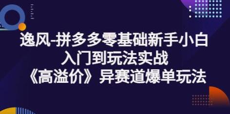 拼多多零基础新手入门到高溢价爆单玩法实战课-无双副业