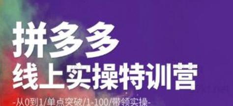 青云拼多多运营实操特训营：从0到1单点突破1-100实操课程-无双副业
