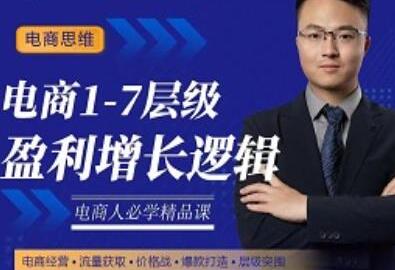 电商1-7层级盈利增长底层逻辑课：掌握电商盈利的核心方法-无双副业