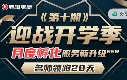 老陶电商拼多多名师线上领跑28天迎战开学季实操复盘-无双副业