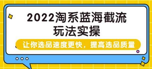 2022淘系蓝海截流玩法实操：提升选品速度与质量-无双副业