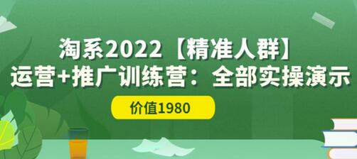 淘系2022精准人群运营与推广训练营：实操演示与技巧分享-无双副业