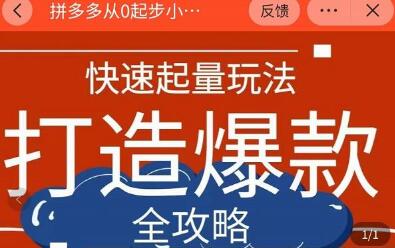 拼多多从0起步到大神运营全攻略，快速起量打造爆款-无双副业