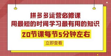 拼多多运营必修课：20节高效课程快速掌握电商运营技巧-无双副业