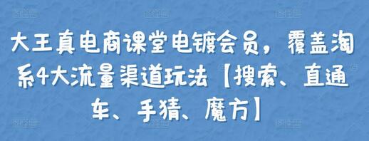 大王真电商课堂电镀会员，淘系4大流量渠道玩法全解析-无双副业