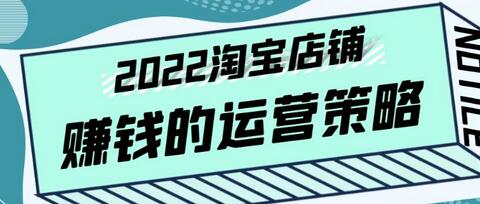 2022年淘宝店铺盈利运营策略与全店动销实战指南-无双副业