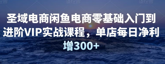 圣域电商闲鱼零基础到进阶VIP课程，单店日净利增300+-无双副业