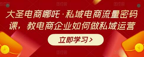 大圣电商哪吒私域电商流量密码课，电商企业私域运营指南-无双副业