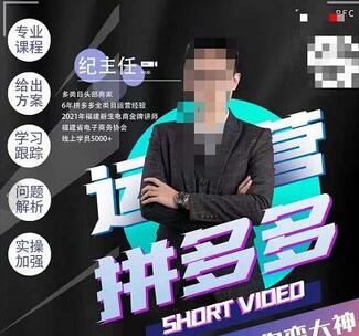 纪主任拼多多运营课：21天从小白到大神的蜕变之路-无双副业