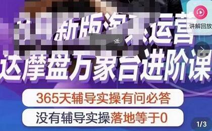 电商掌柜茂隆新版淘系运营达摩盘万象台进阶课-无双副业