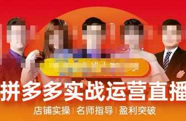 推易电商拼多多线上直播课程：实时玩法与爆款打造-无双副业