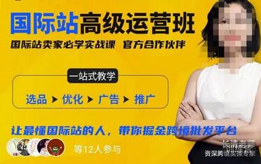 阿里巴巴国际站高级运营班：掘金跨境批发平台实战指南-无双副业