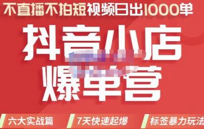 推易电商2022抖音小店爆单营：7天快速起爆，标签暴力玩法-无双副业