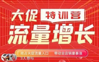 阿呆大促流量增长特训营，抢占流量入口提升销量-无双副业